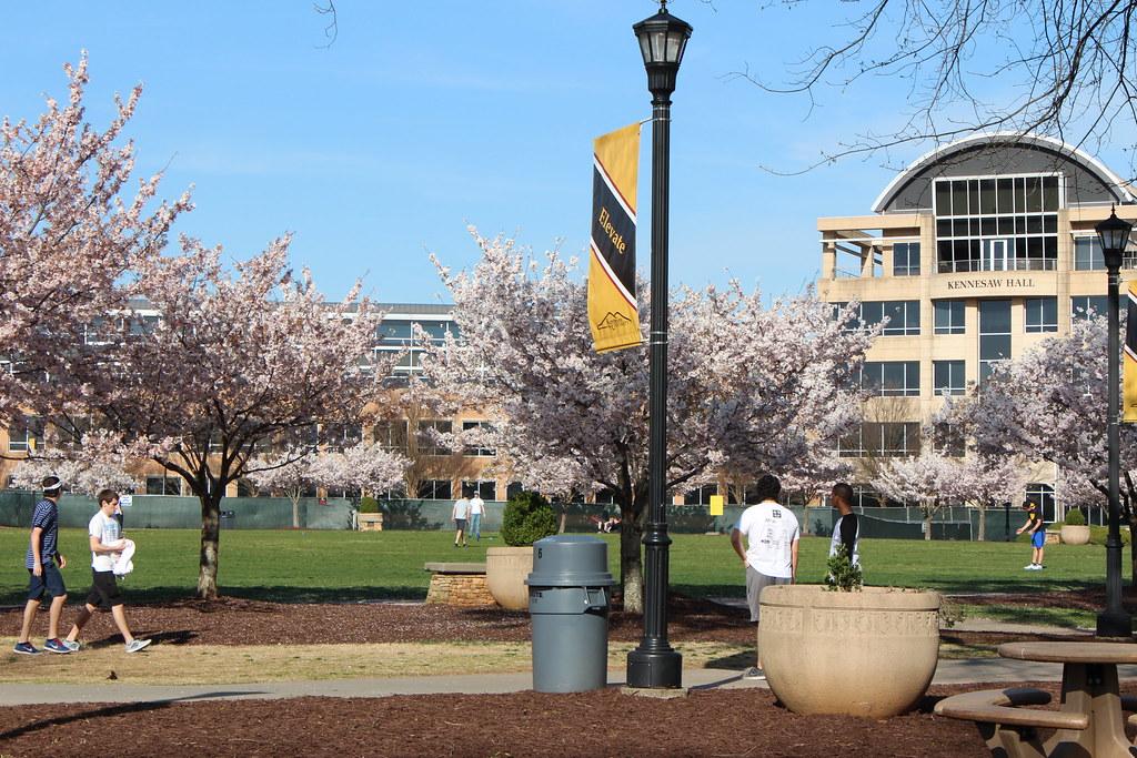 Kennesaw State University GPA Calculator