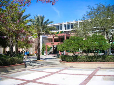 University Of South Florida Main Campus Admission Requirements