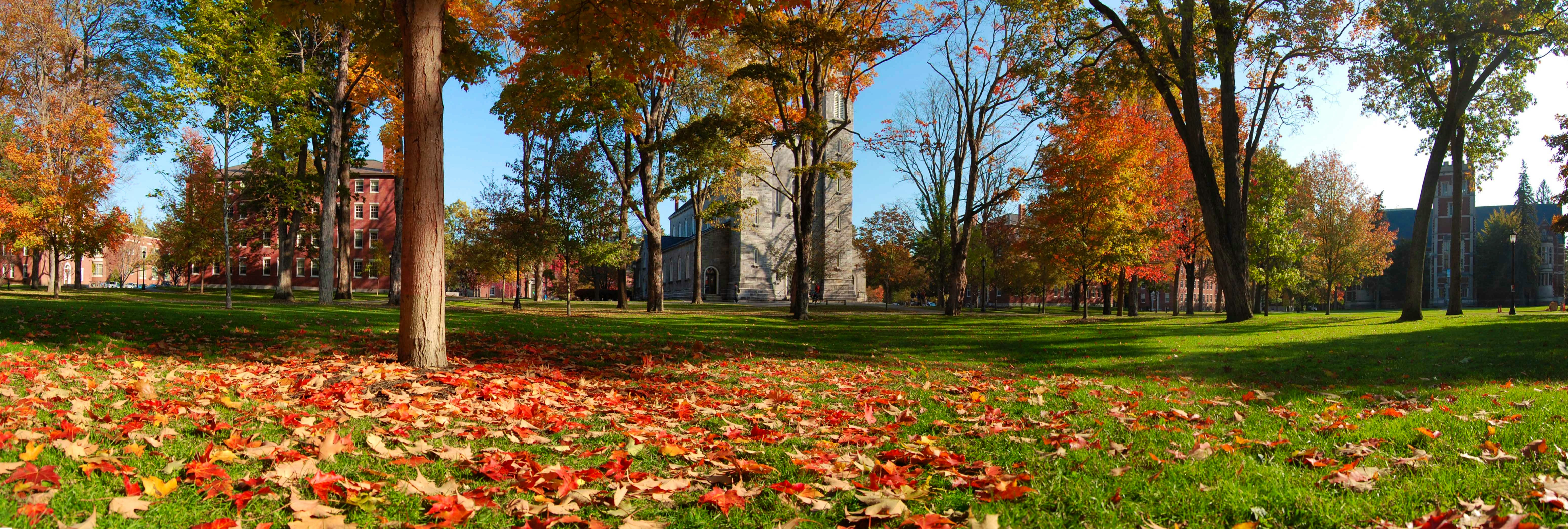 Bowdoin College - Admission Requirements, SAT, ACT, GPA and chance of  acceptance