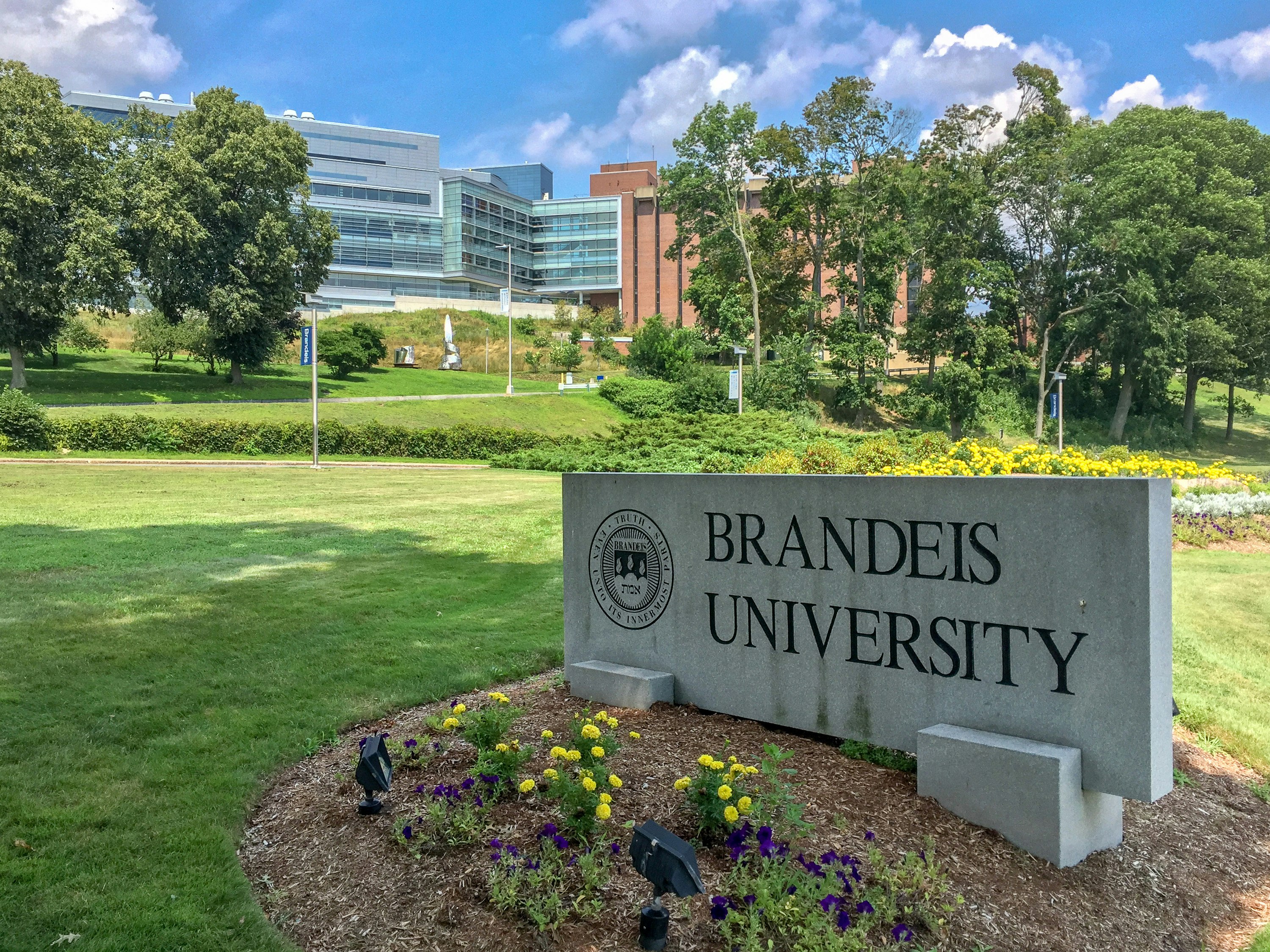 Brandeis University