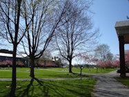 Bucknell University