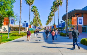 California State University Long Beach - Admission Requirements, SAT, ACT,  GPA and chance of acceptance
