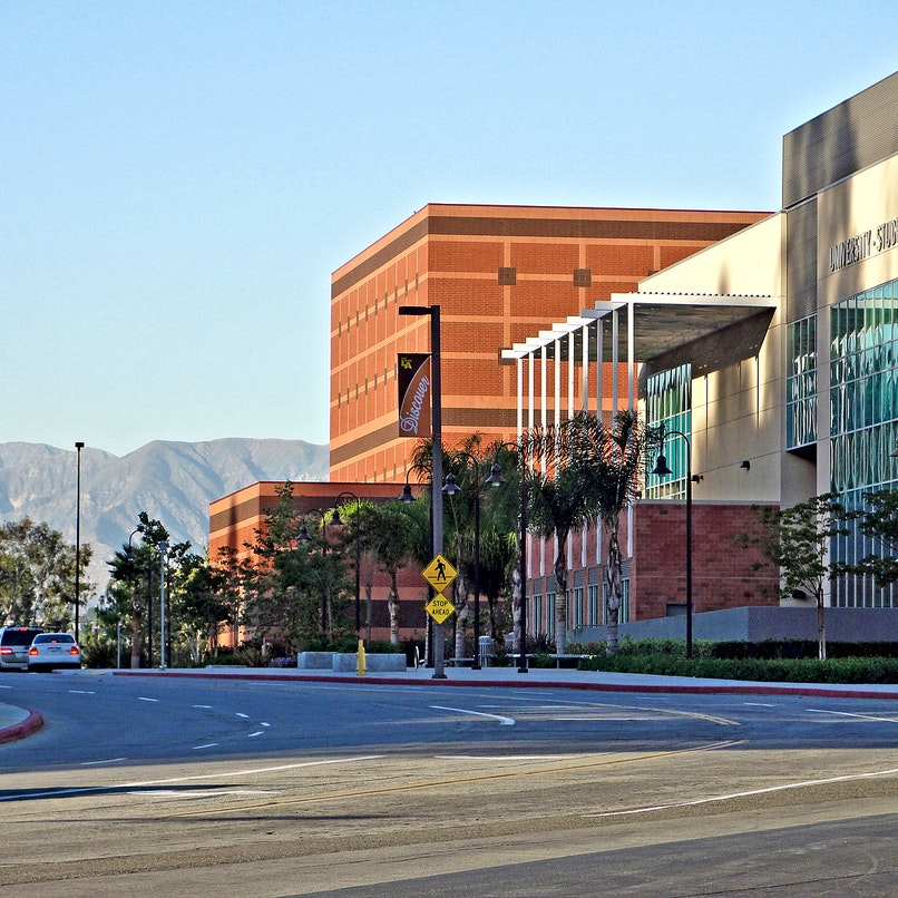 Undergraduate Majors Offered at California State University Los Angeles