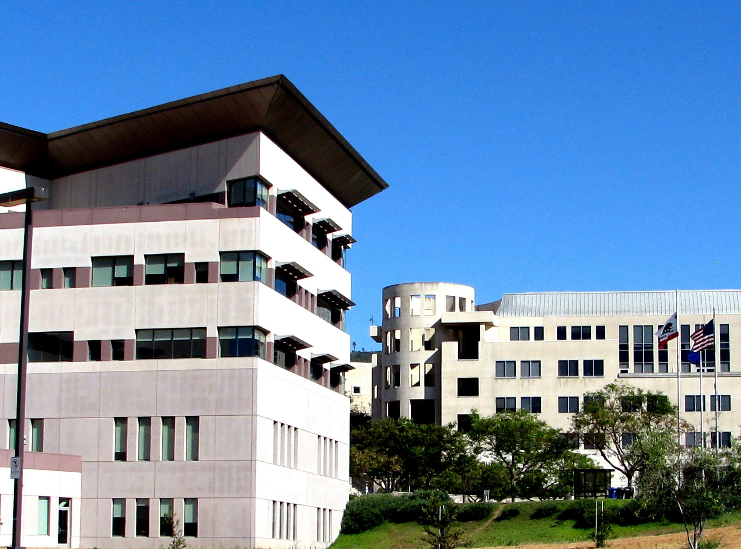 Cal State San Marcos Summer 2024 Hope Morgen cal-state-san-marcos-summer-2024-hope-morgen