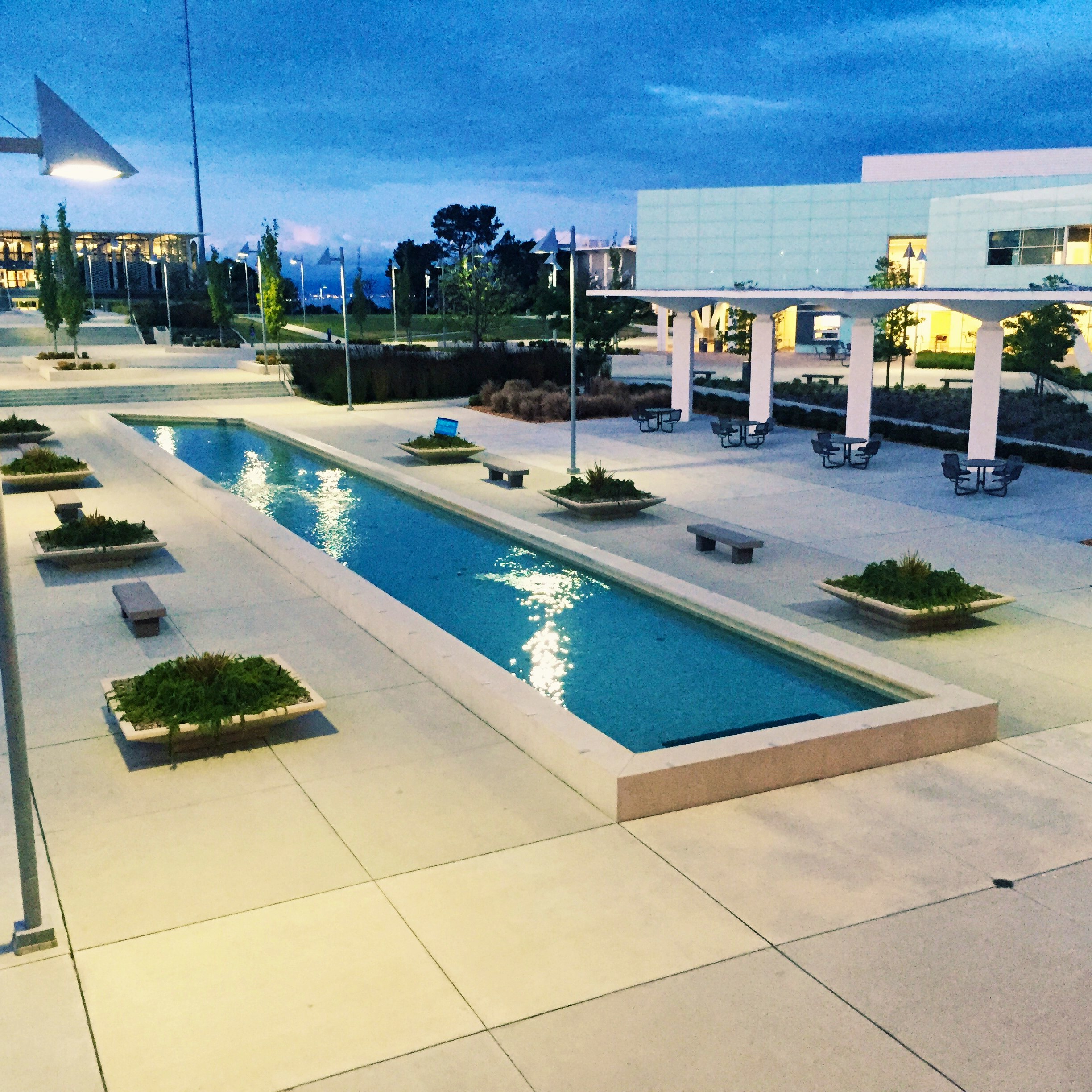 College of San Mateo