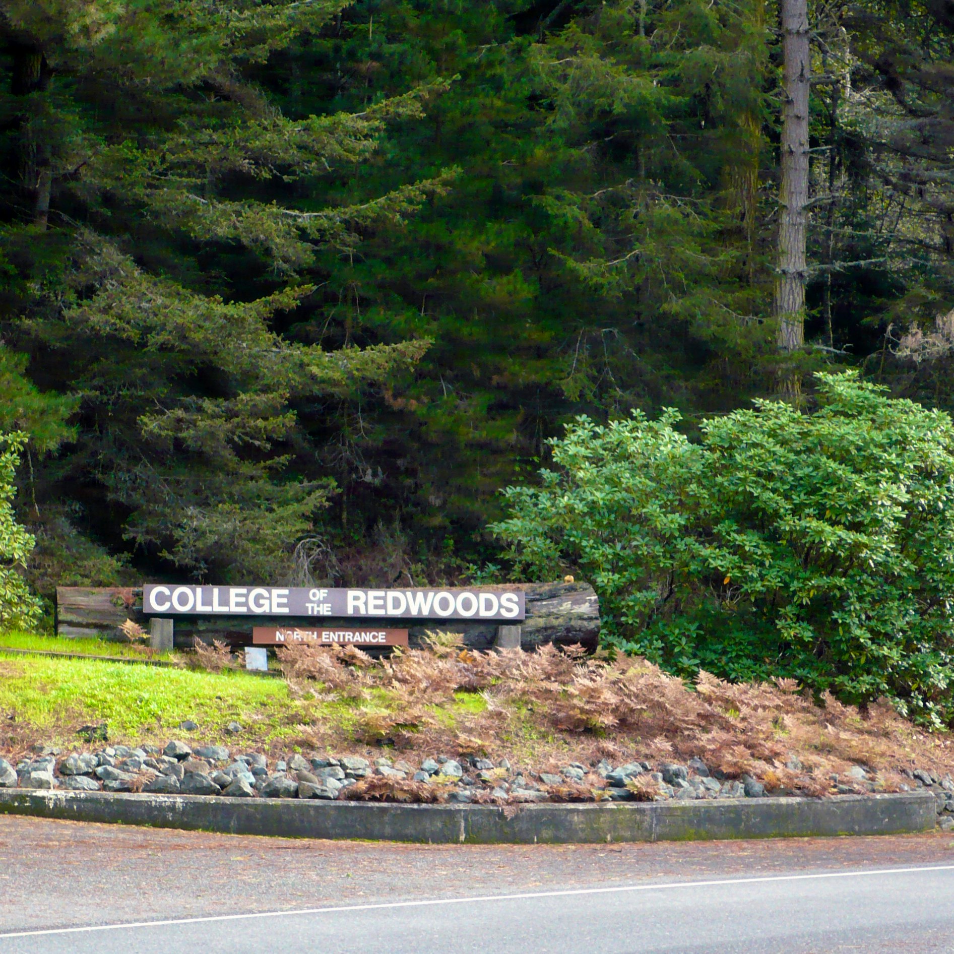 College of the Redwoods