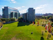 CUNY City College