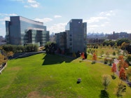 CUNY City College