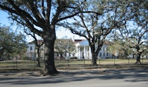 Dillard University