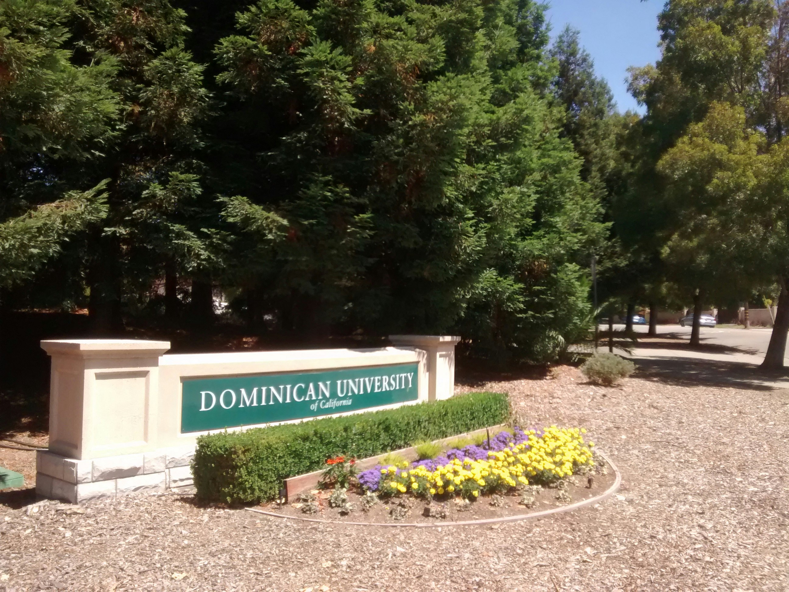 Dominican University of California Net Price, Tuition, Cost to Attend