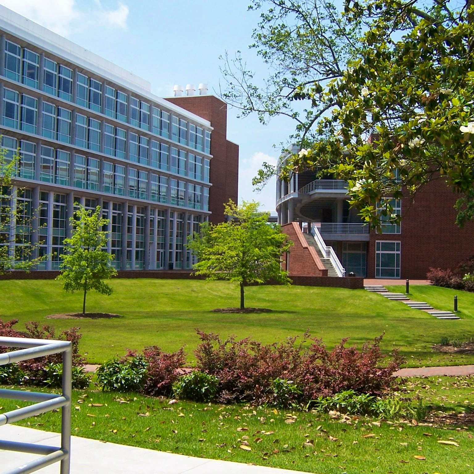 Colleges in Greenville, North Carolina and Colleges near Greenville