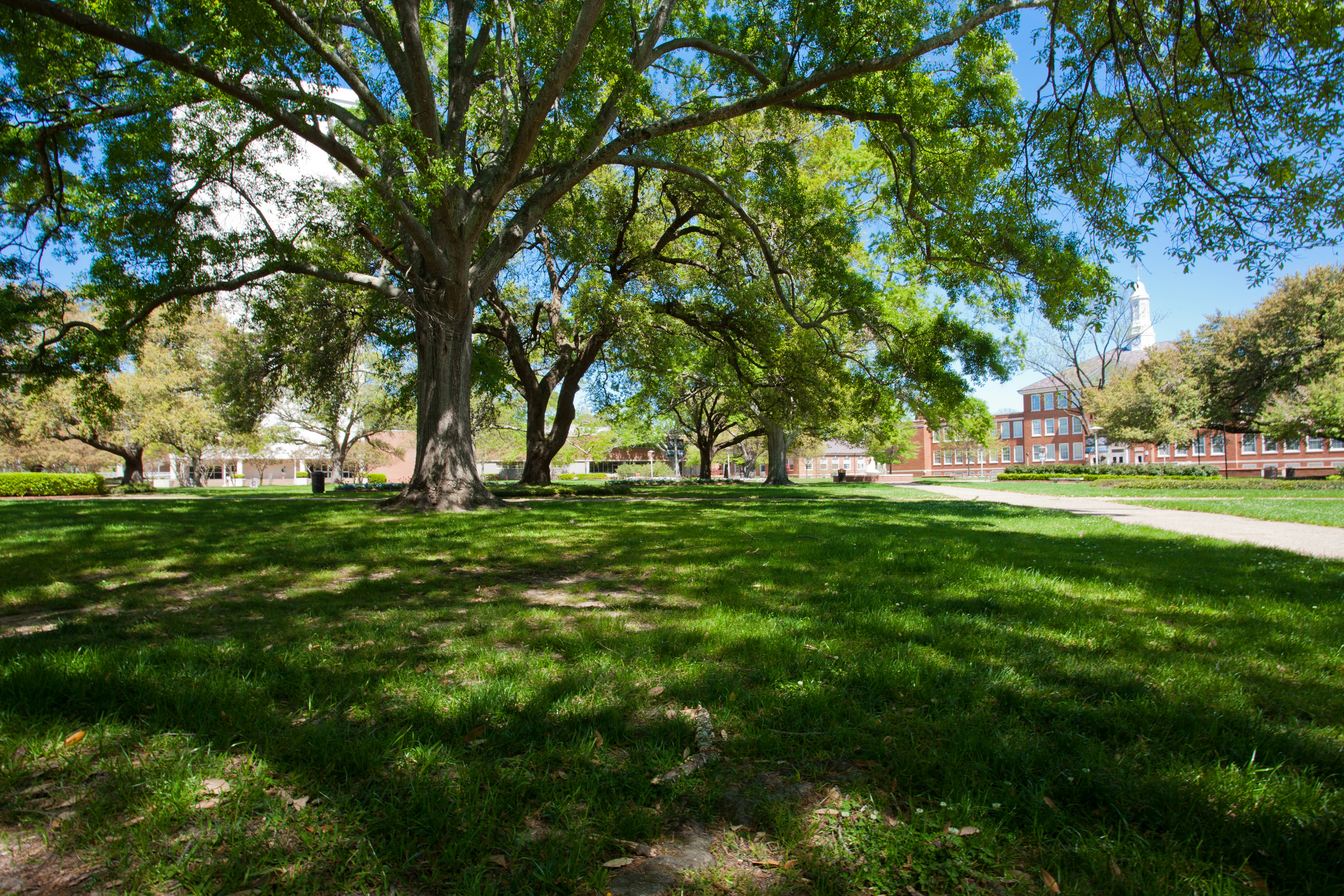 Colleges in Monroe, Louisiana and Colleges near Monroe