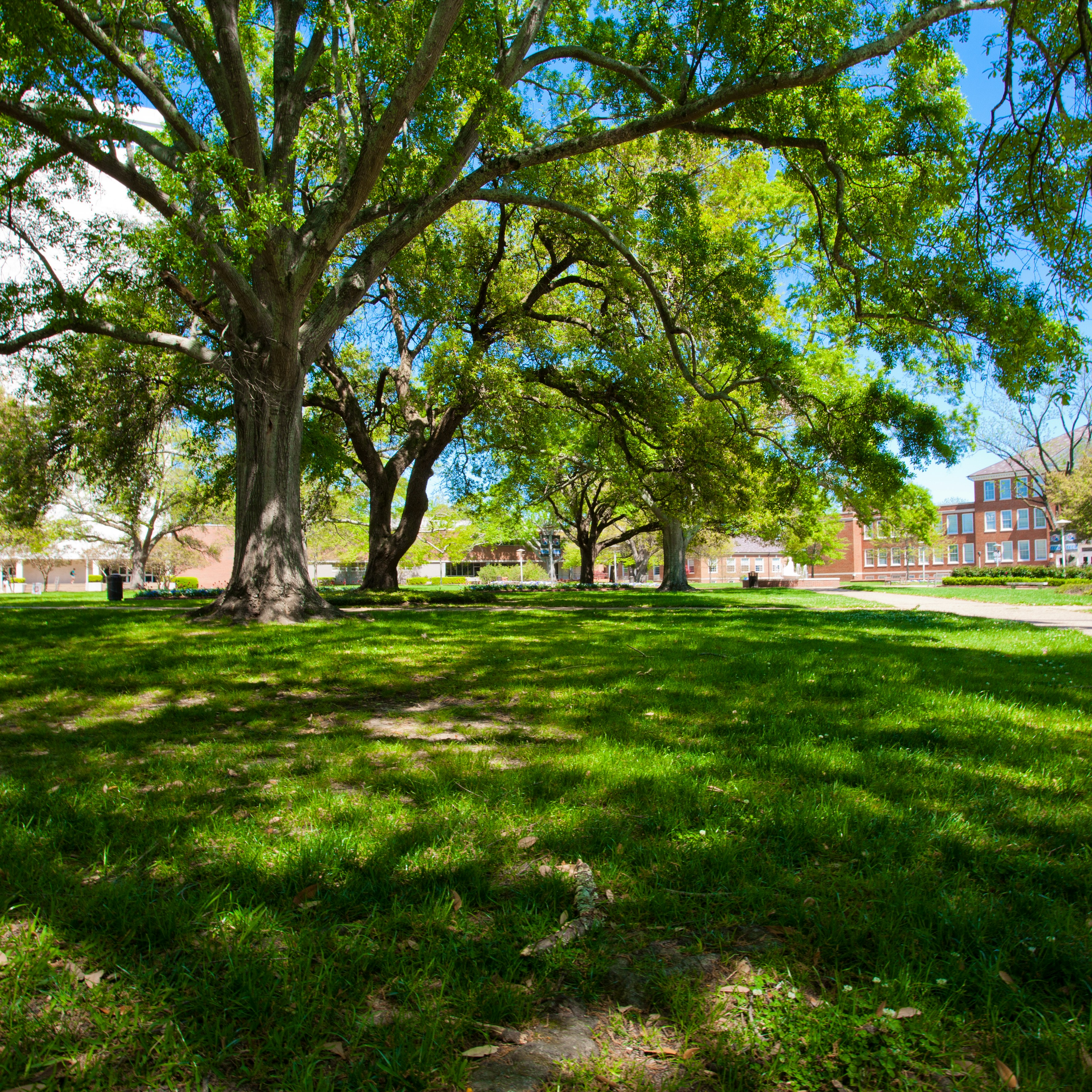 Colleges in Monroe, Louisiana and Colleges near Monroe