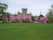 Manhattanville College