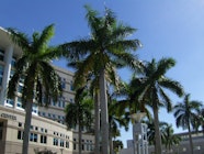 Nova Southeastern University