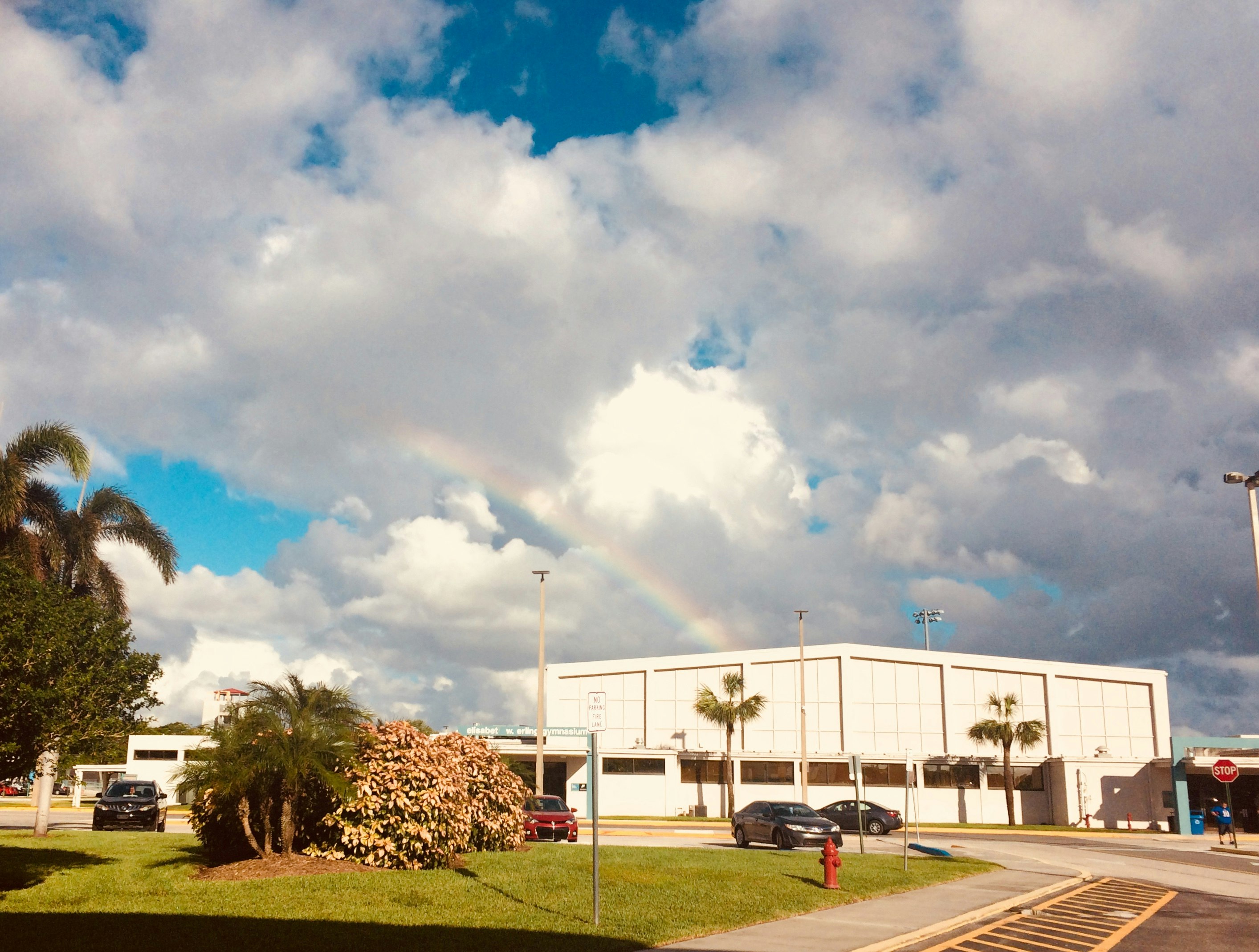 Palm Beach State College Diversity Student Demographics Palm Beach State College Diversity Student Demographics