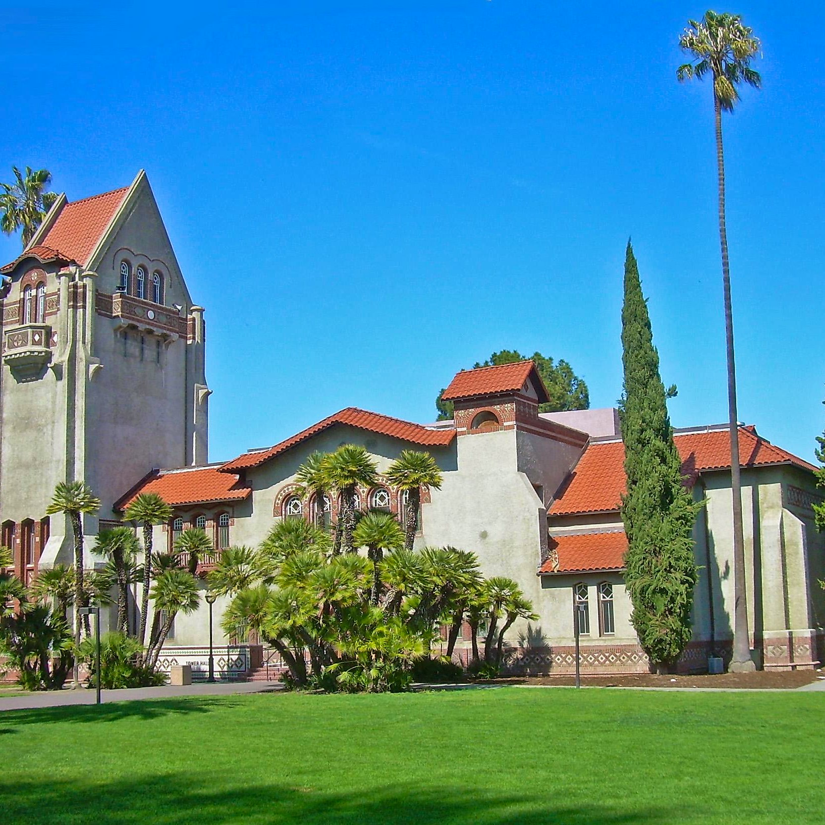 San Jose State University Nursing Transfer - x57ad36