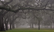 Savannah State University