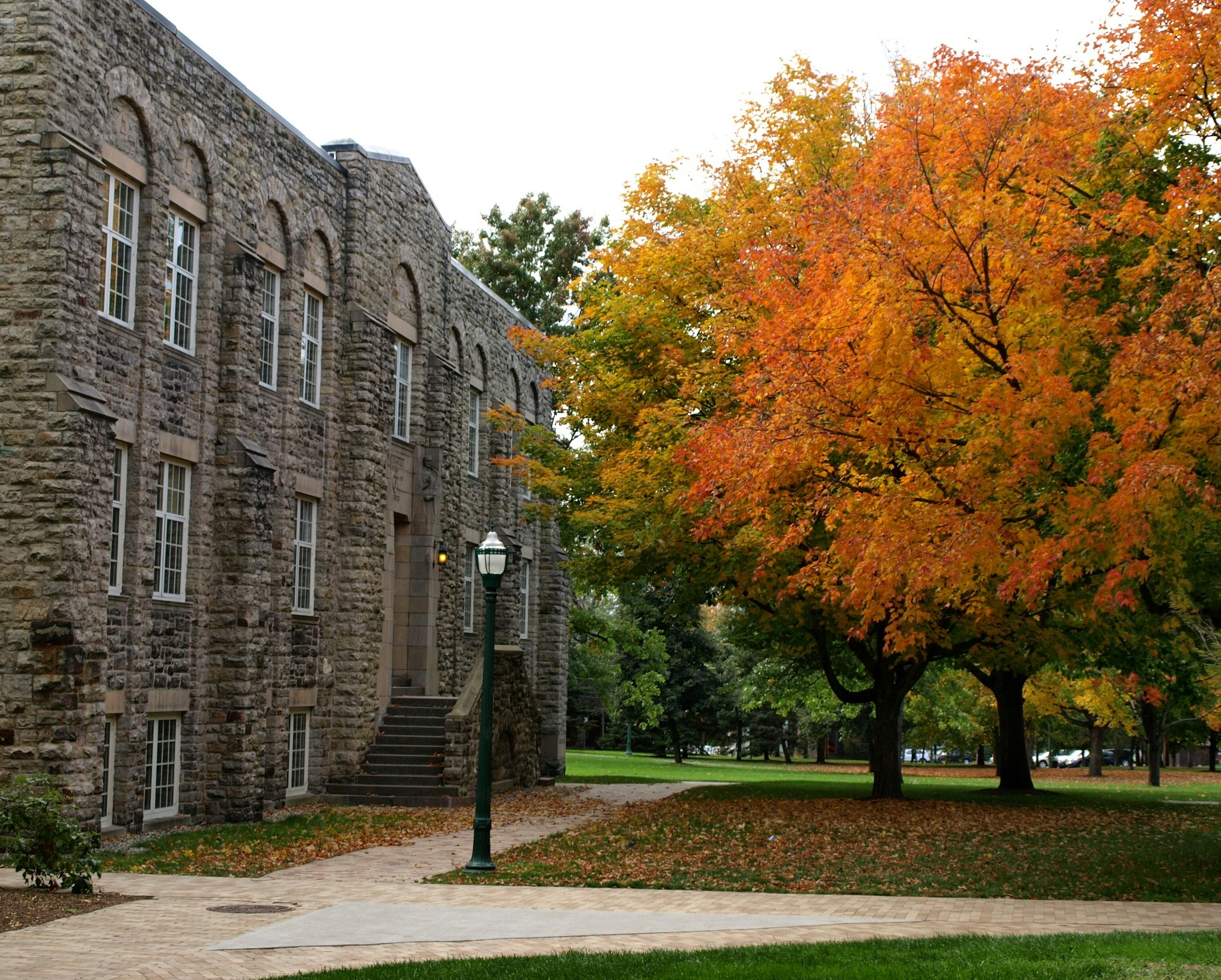 St Lawrence University Admission Requirements, SAT, ACT, GPA and