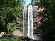 Toccoa Falls College