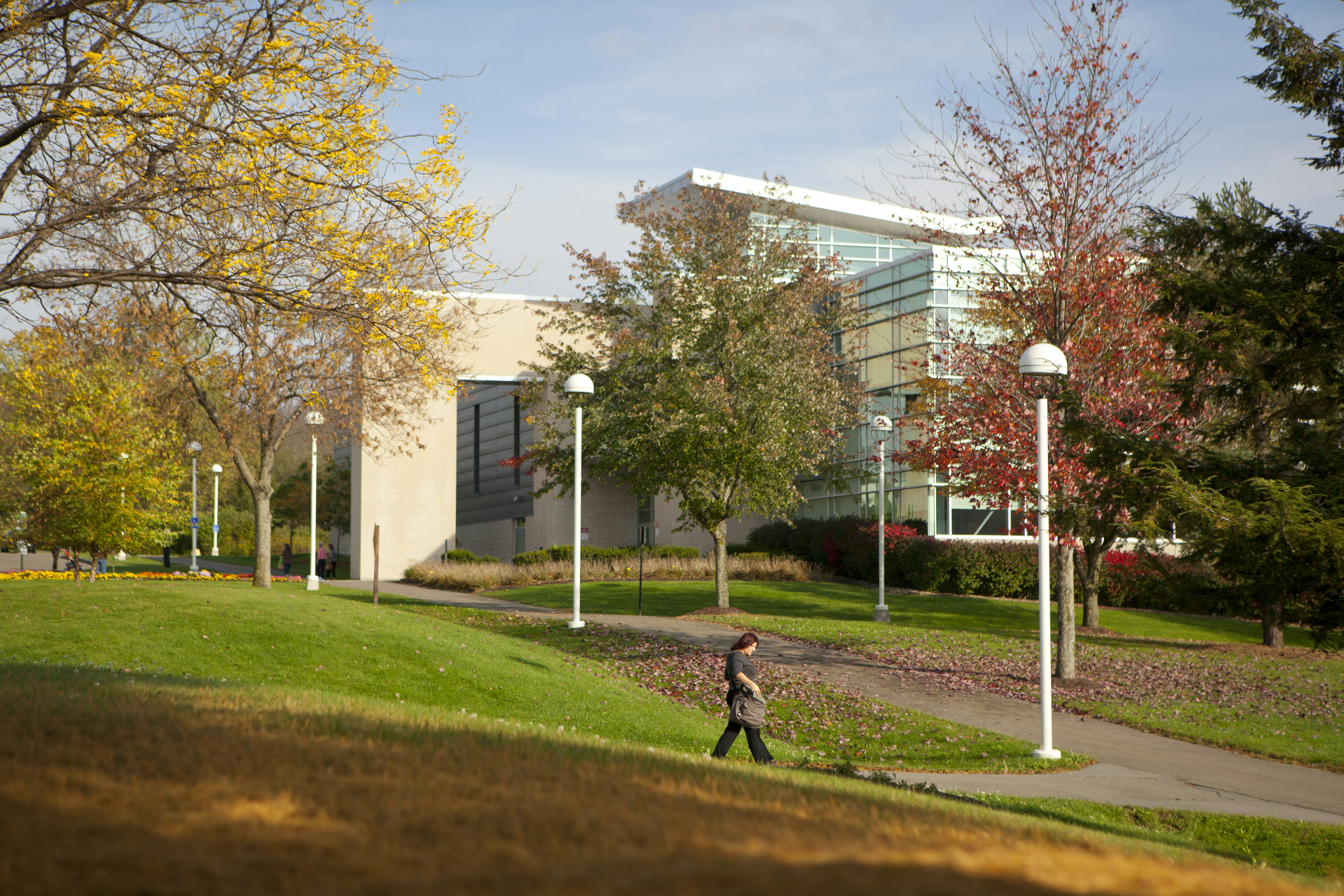 Community Colleges in Elmira New York and Colleges near Elmira Community Colleges in Elmira New York and Colleges near Elmira