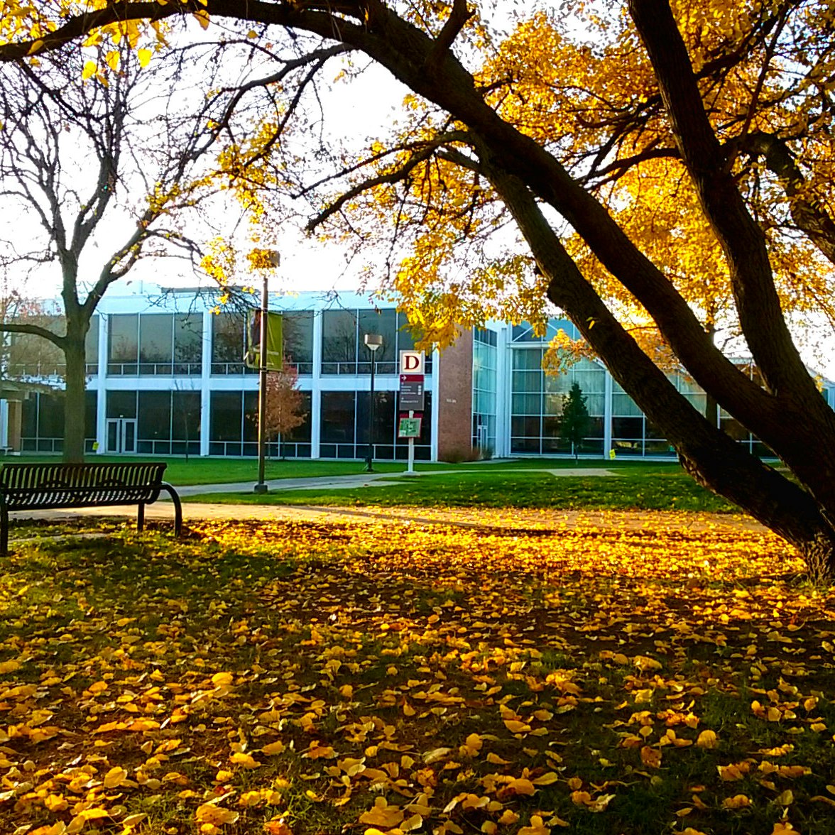 Community Colleges In Elmhurst Illinois And Colleges Near Elmhurst community-colleges-in-elmhurst-illinois-and-colleges-near-elmhurst