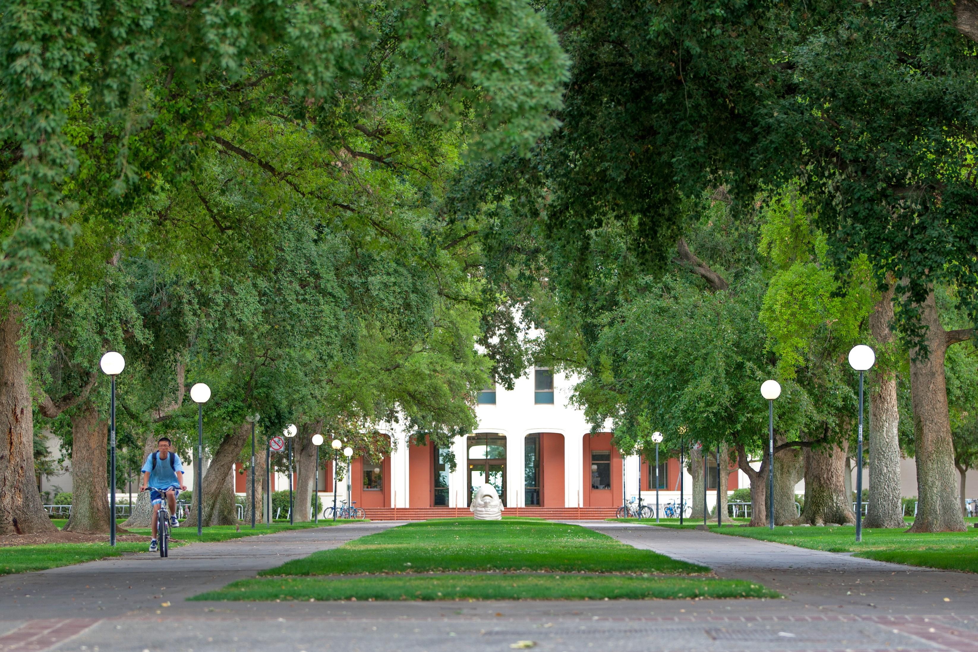 california santa cruz university