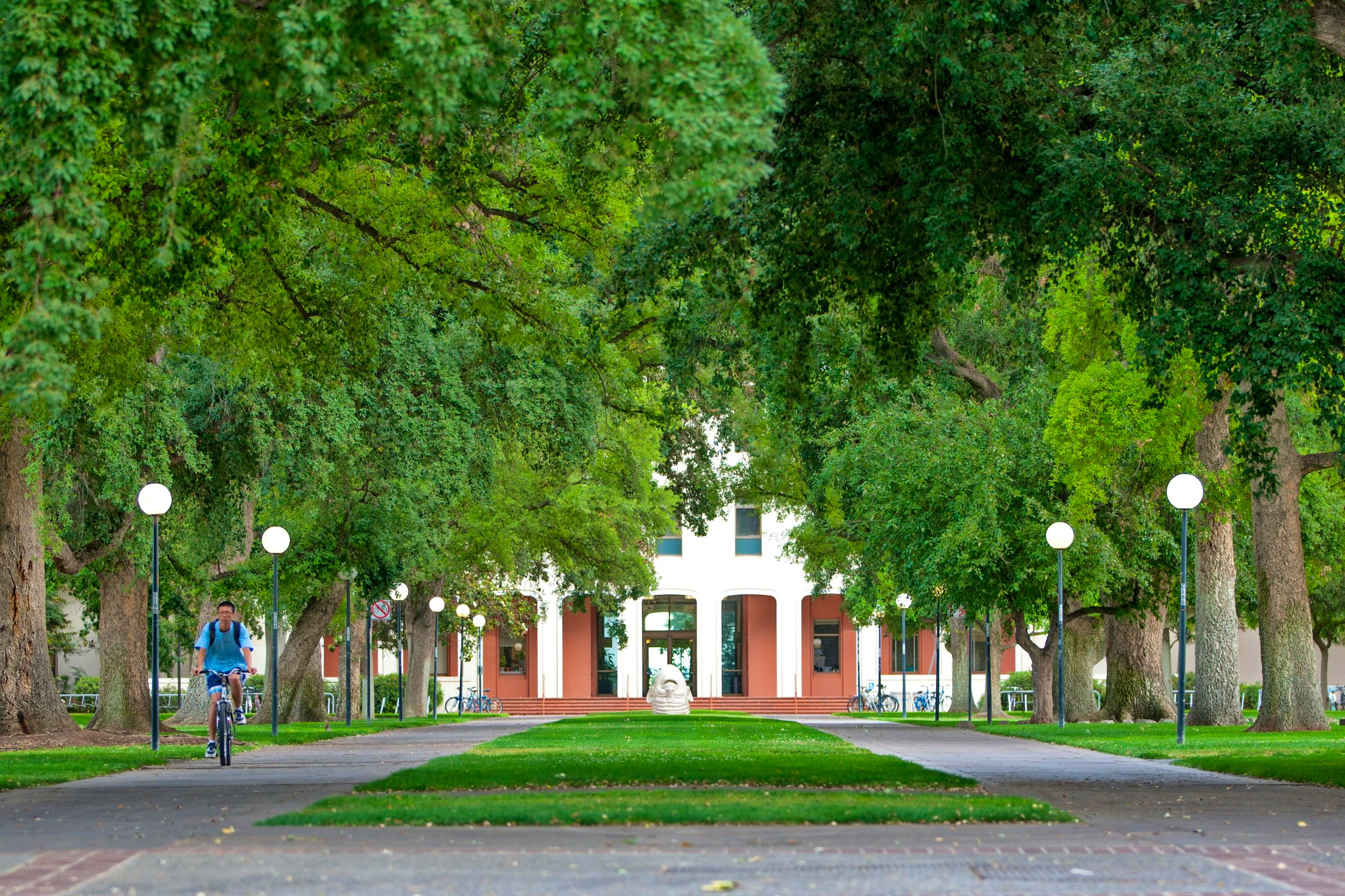 university-of-california-davis-admission-requirements-sat-act-gpa