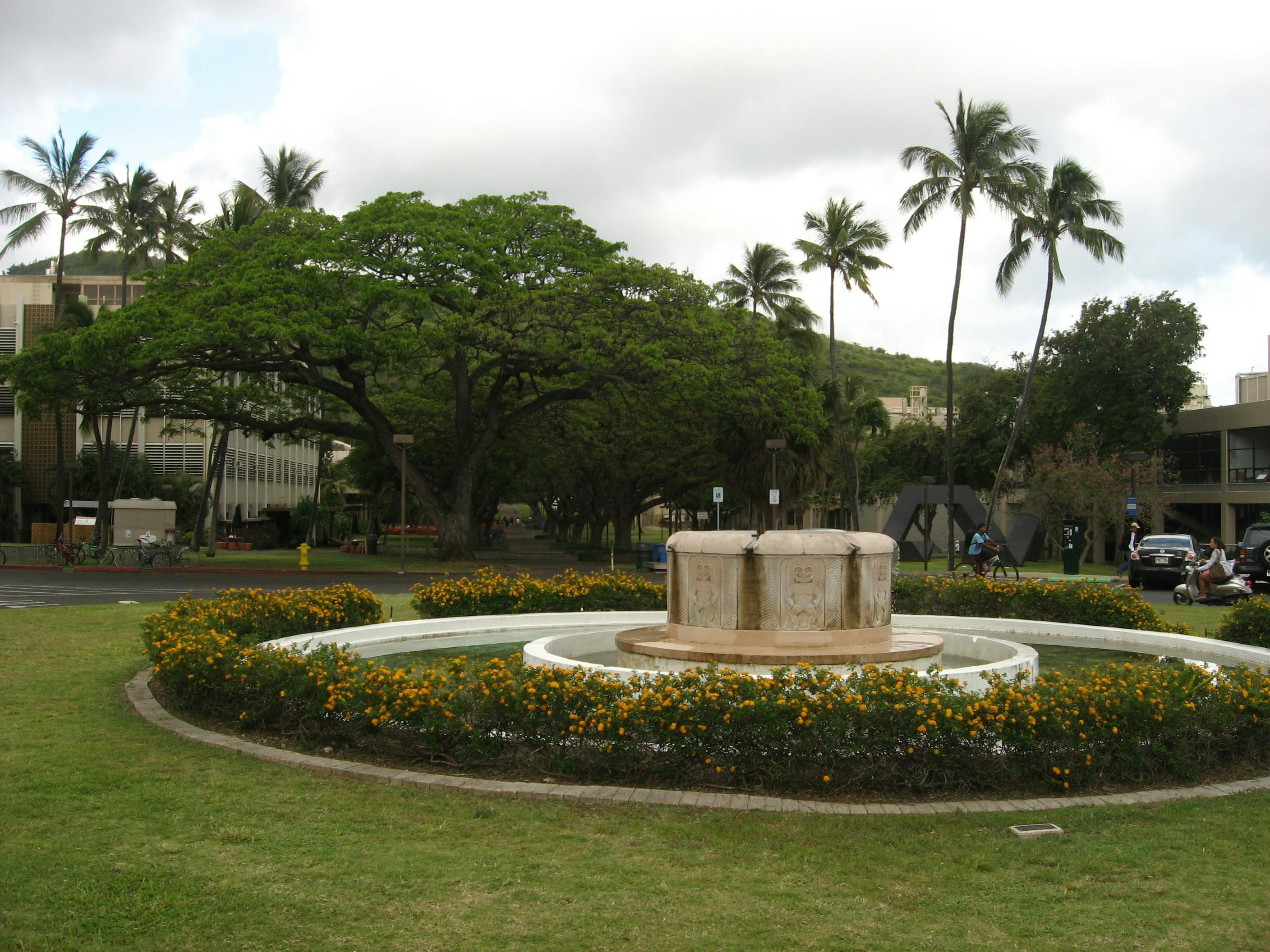 University of Hawaii at Manoa Admission Requirements, SAT, ACT, GPA