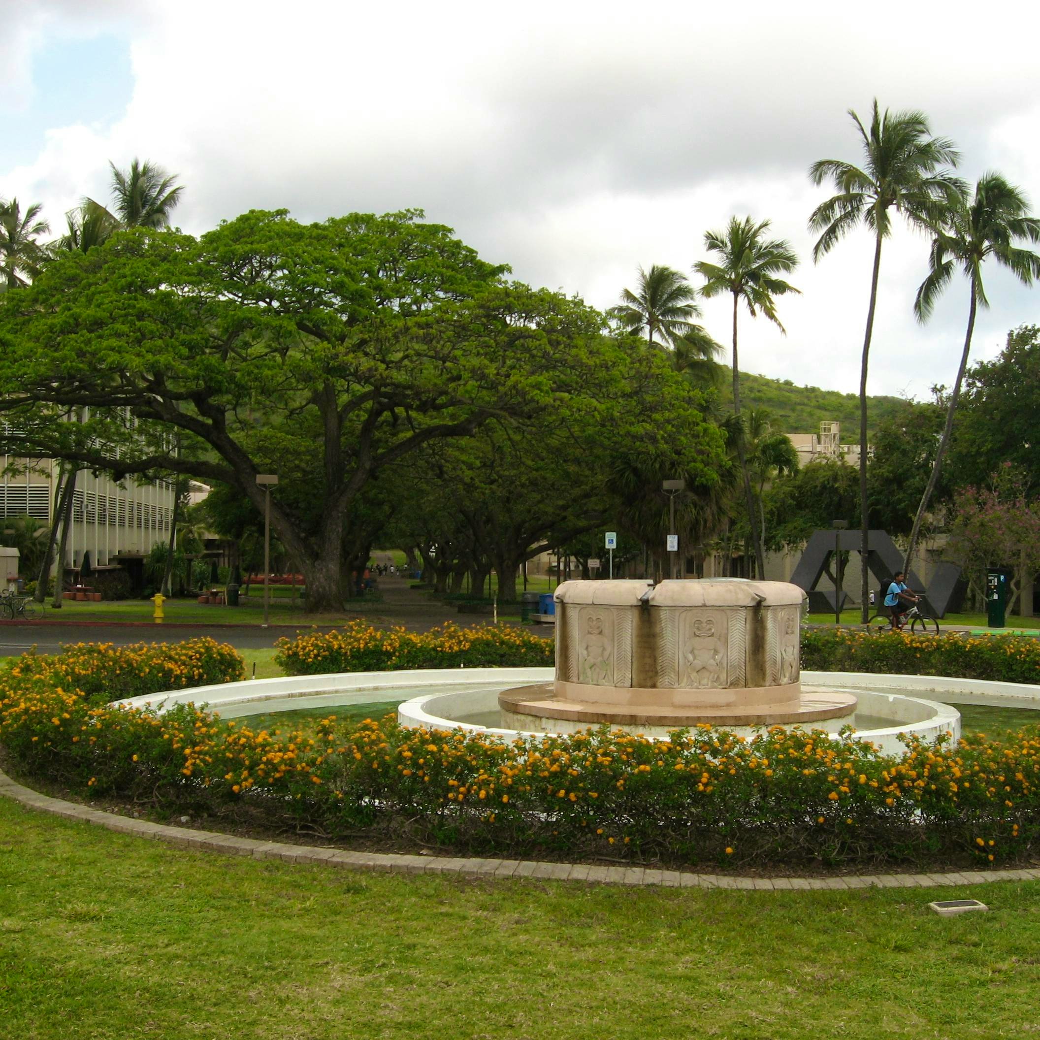 University of Hawaii at Manoa Admission Requirements, SAT, ACT, GPA