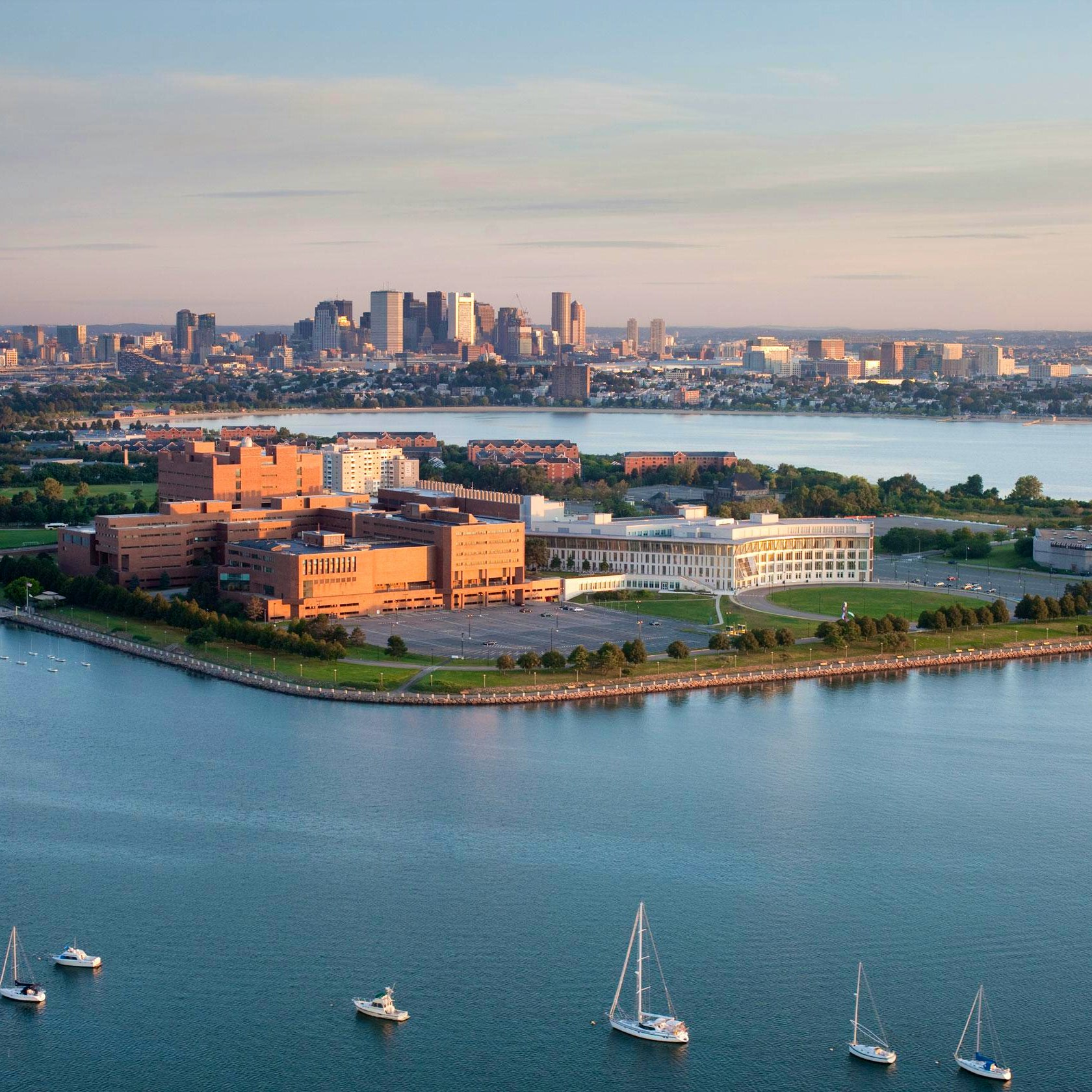 Undergraduate Majors Offered at University of Massachusetts Boston