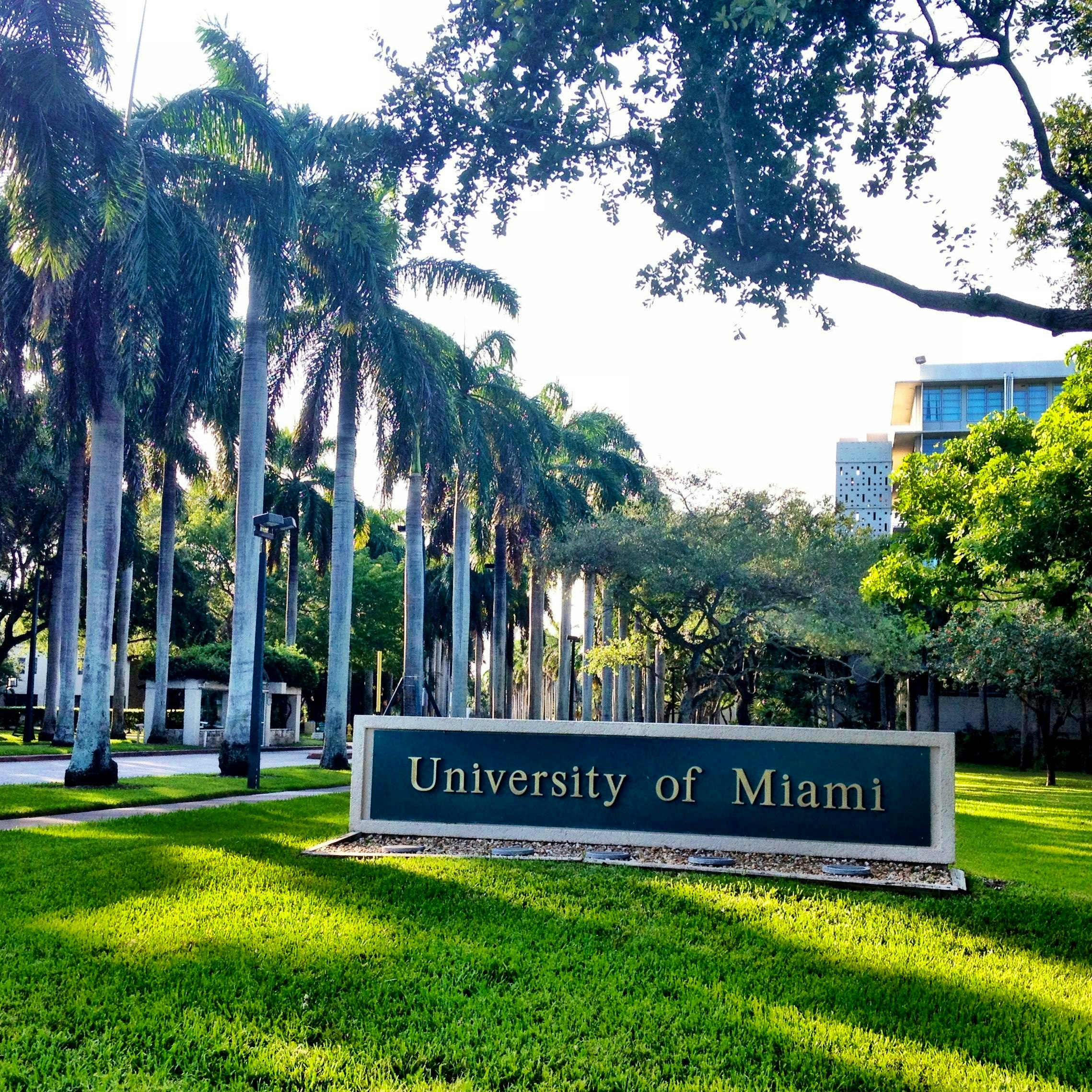 University of Miami - Admission Requirements, SAT, ACT, GPA and chance of  acceptance