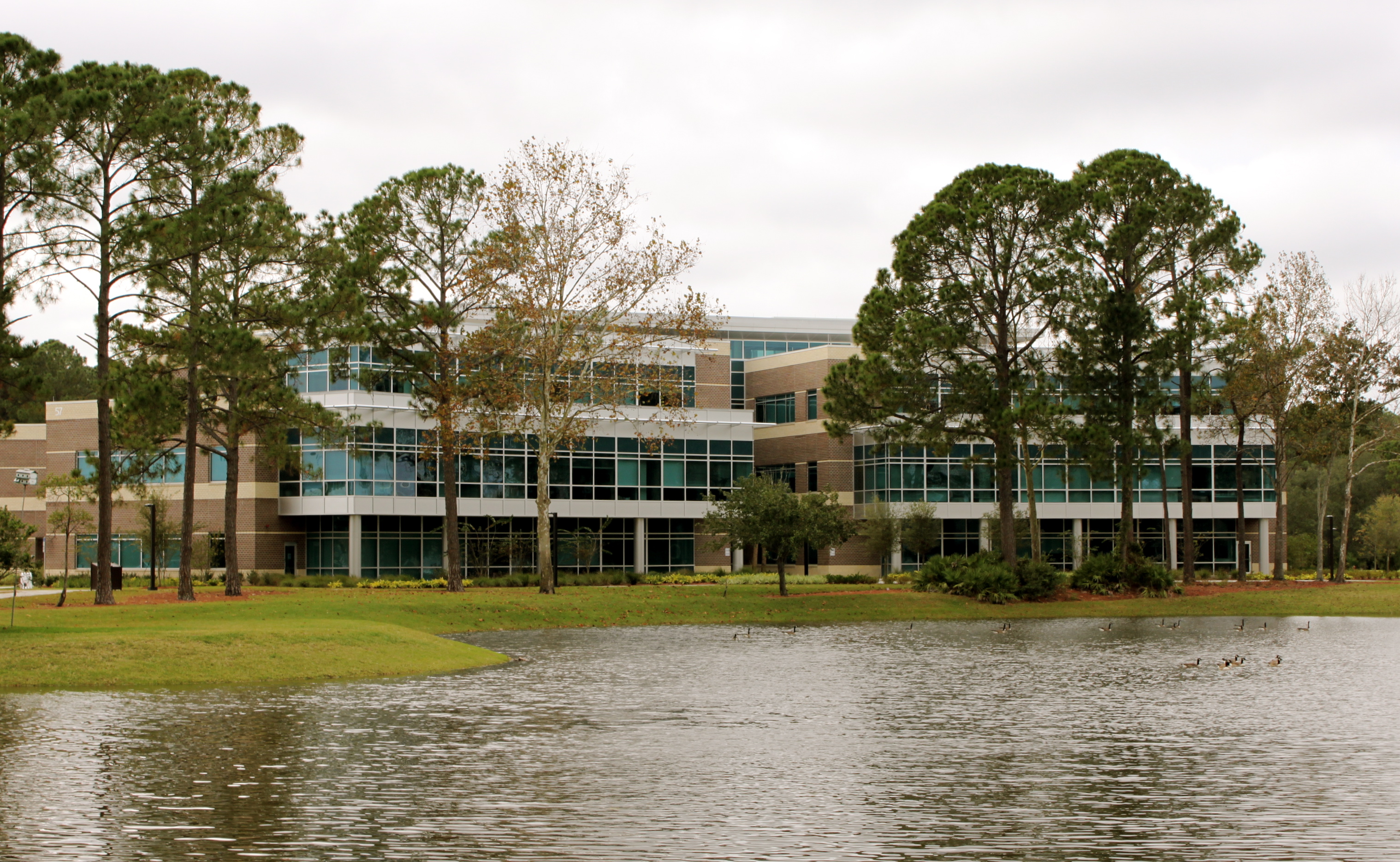 University Of North Florida - Net Price, Tuition, Cost To Attend ...