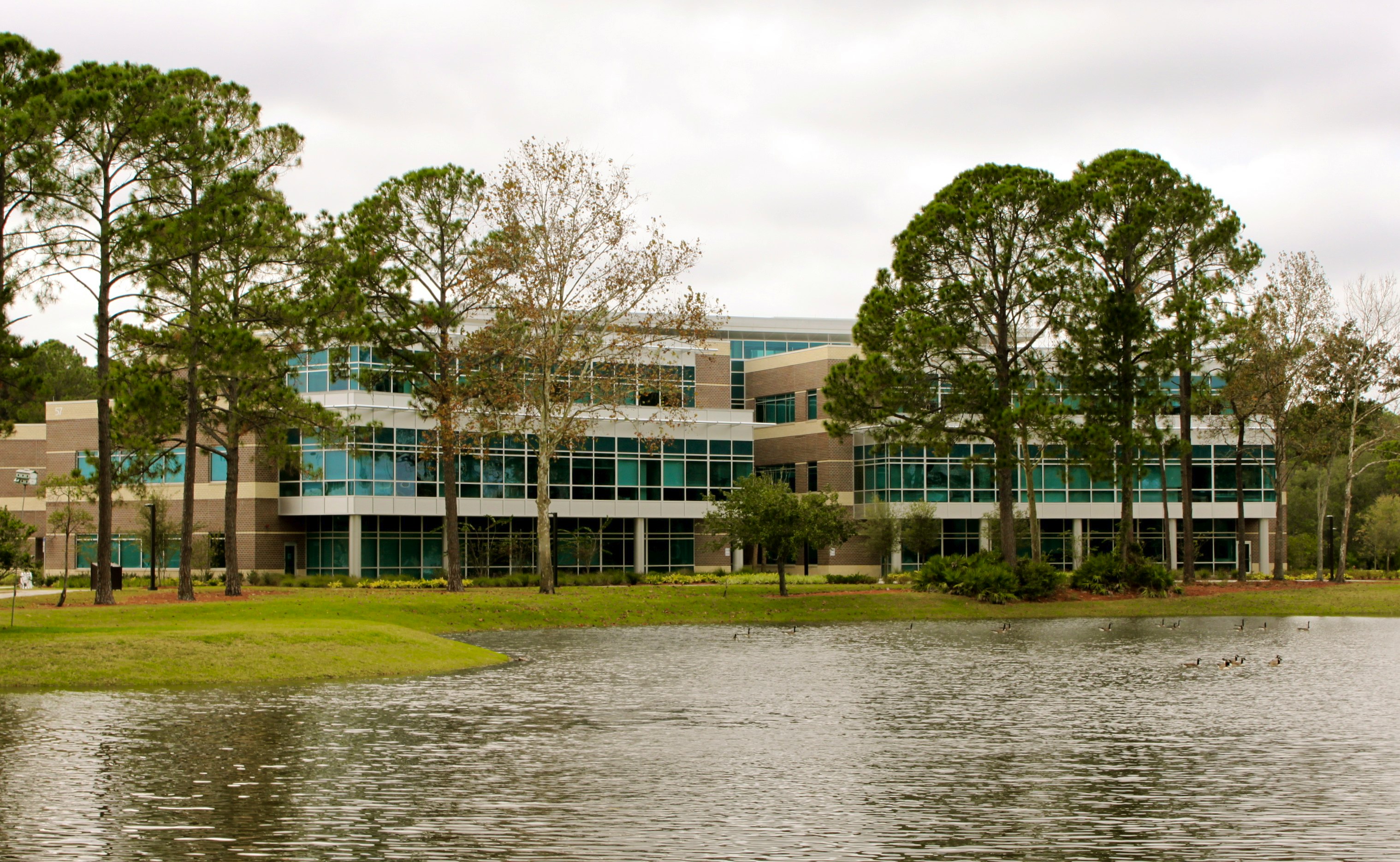 University of North Florida - Net Price, Tuition, Cost to Attend, Financial  Aid and Student Loans