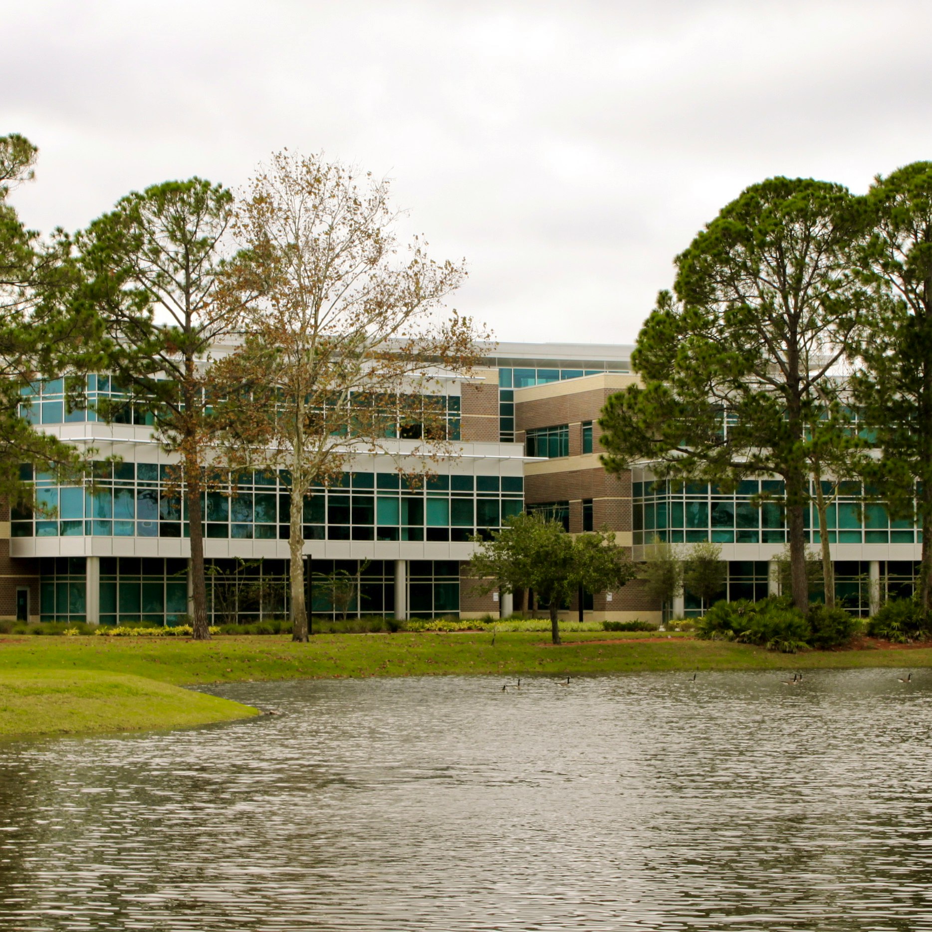 University of North Florida - Net Price, Tuition, Cost to Attend ...