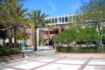 University of South Florida Main Campus